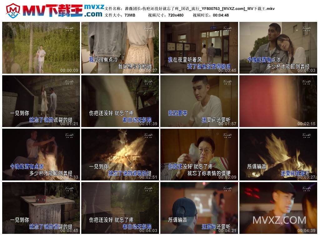 蔷薇团长-伤疤还没好就忘了疼_国语_流行_YF800763